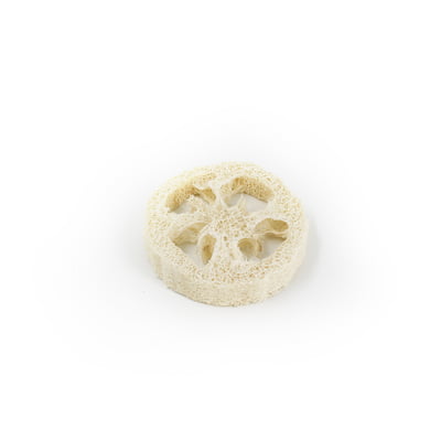LUFFA shampoo holder